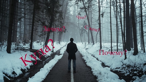 Задай вопрос, получишь ответ