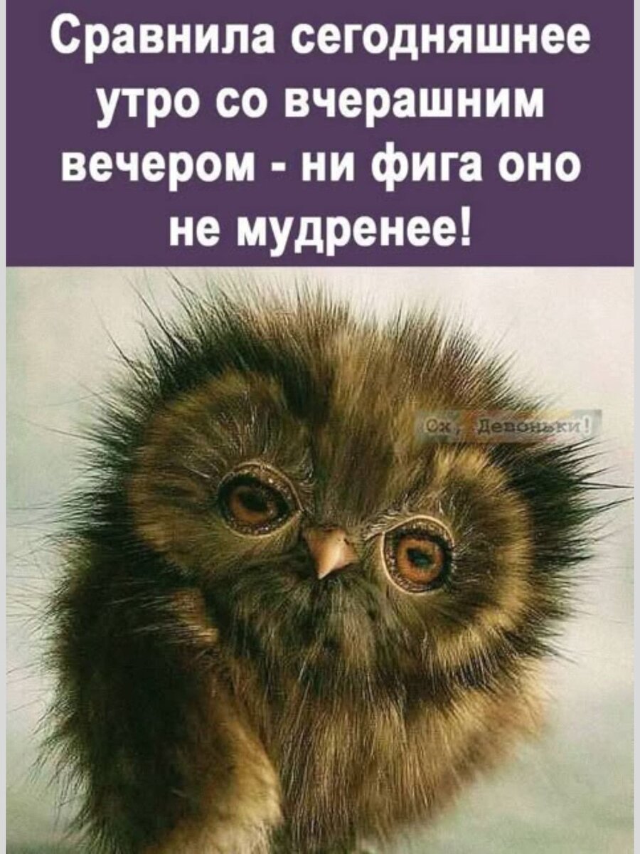 -8