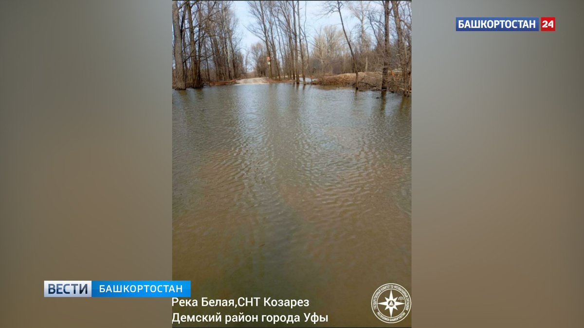    Река Белая в Уфе за сутки поднялась на полметра