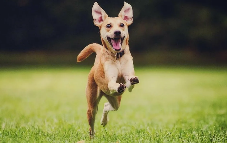 Фото с сайта YouTube