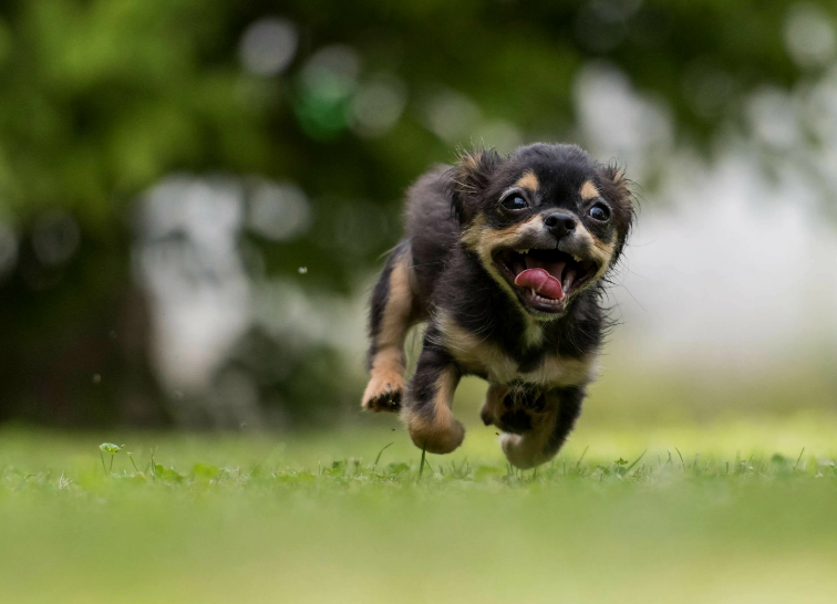 Фото с сайта za.pinterest.com