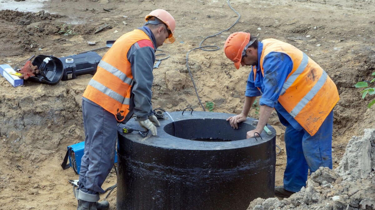    Фото: Makeev Petr/Shutterstock/Fotodom