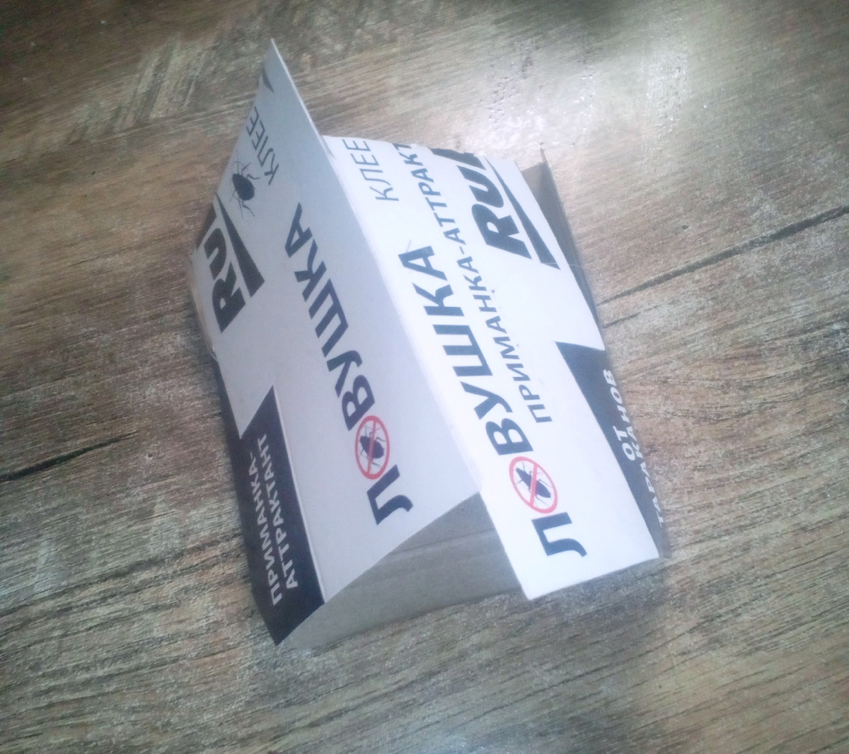 Фото автора