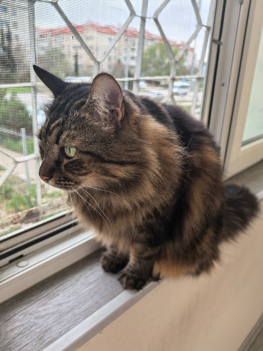 Кто там лазит?