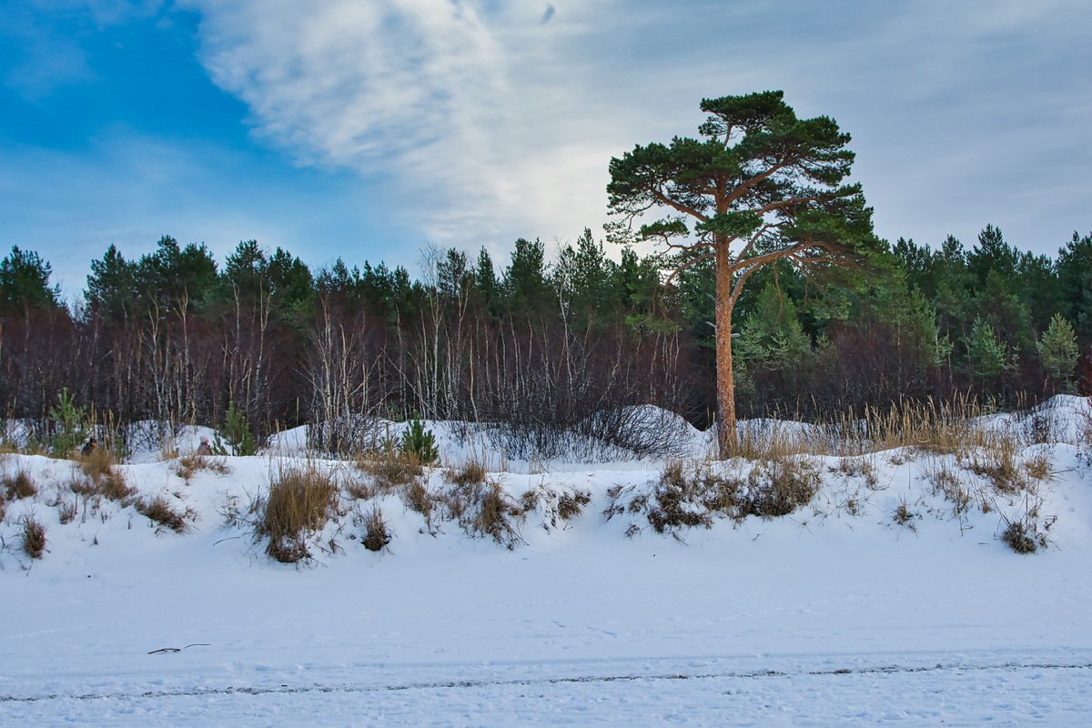Фото для карточки. Фото автора.