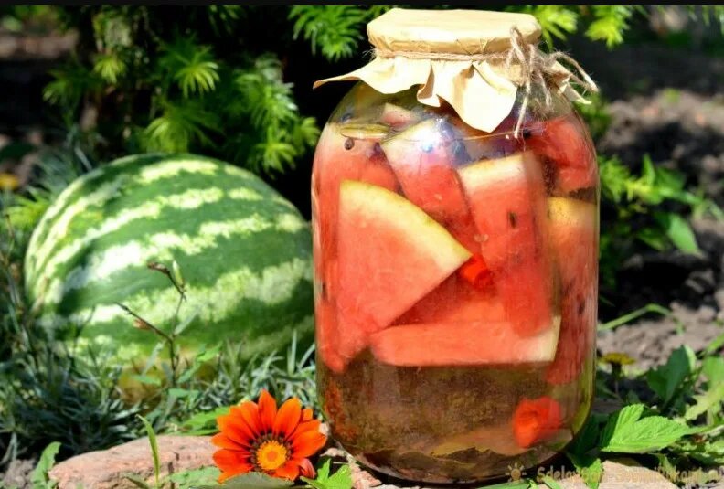 МАРИНОВАННЫЕ АРБУЗЫ. РЕЦЕПТ ВКУСНОЙ ПОЛЬЗЫ ДЛЯ ОРГАНИЗМА.