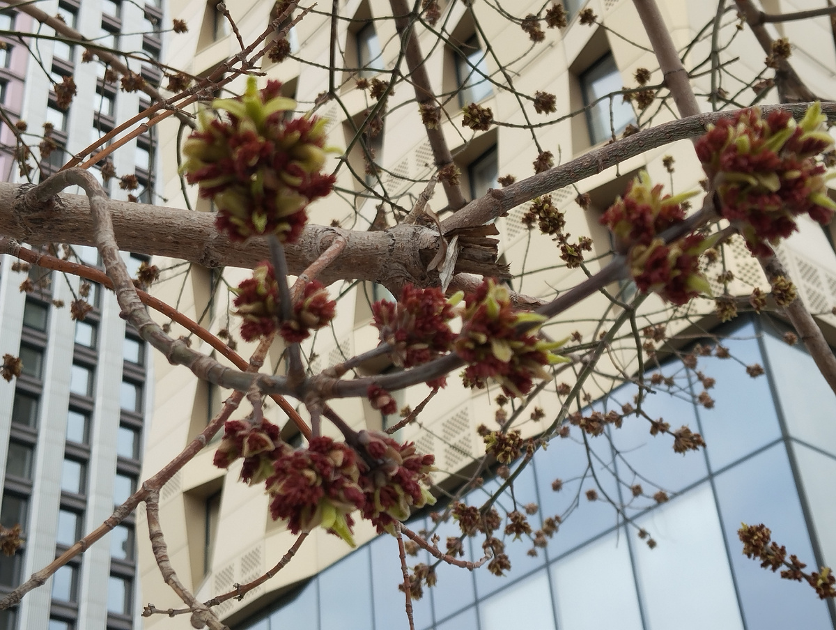 Весна. Апрель. 05.04.2025 г, суббота. ЗДЕСЬ и далее фото автора и(или) из личного архива автора, если не указано иначе.