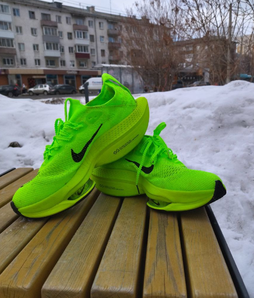 кис-кис-кис..лота