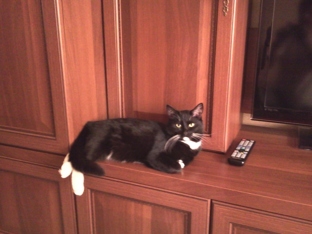 Фото из личного архива автора.