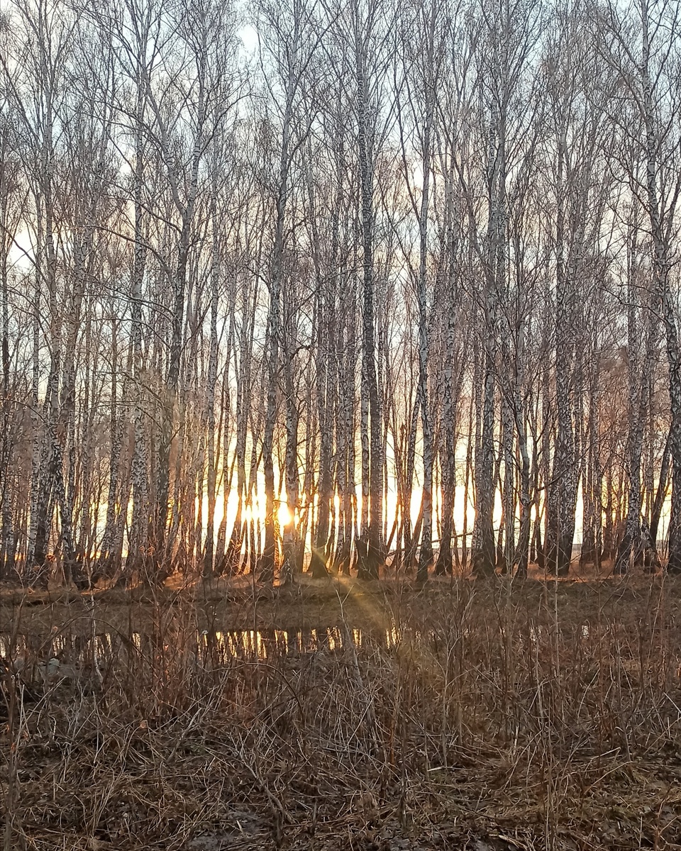 Ради того воздуха во время весеннего рассвета я готова многое стерпеть 