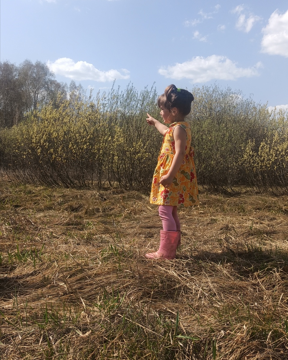 Вперед к мечте 🤪