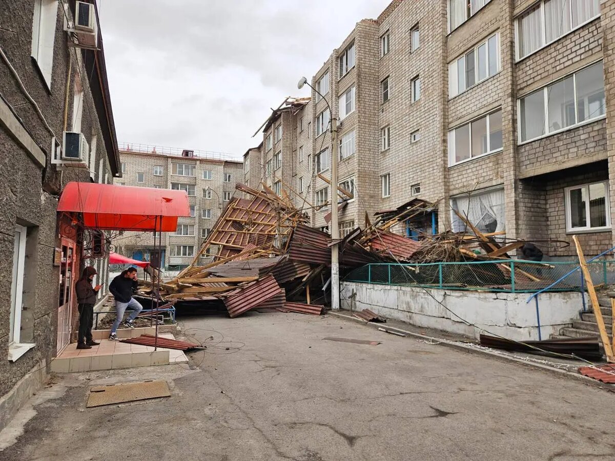    Фото: пресс-служба ГУ МВД России по Красноярскому краю