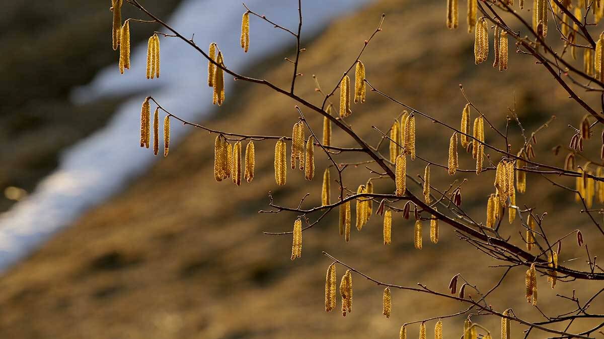    Фото: Анатолий Цымбалюк / Вечерняя Москва