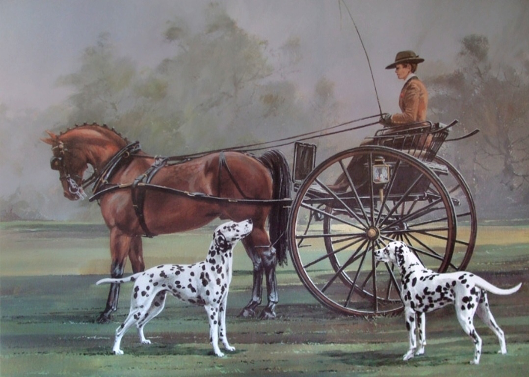 История породы остаётся загадкой, но есть множество предположений о её древнем происхождении.