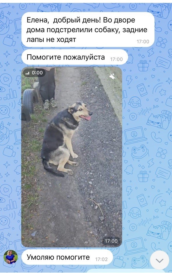 Я не могу смотреть без сле за фото