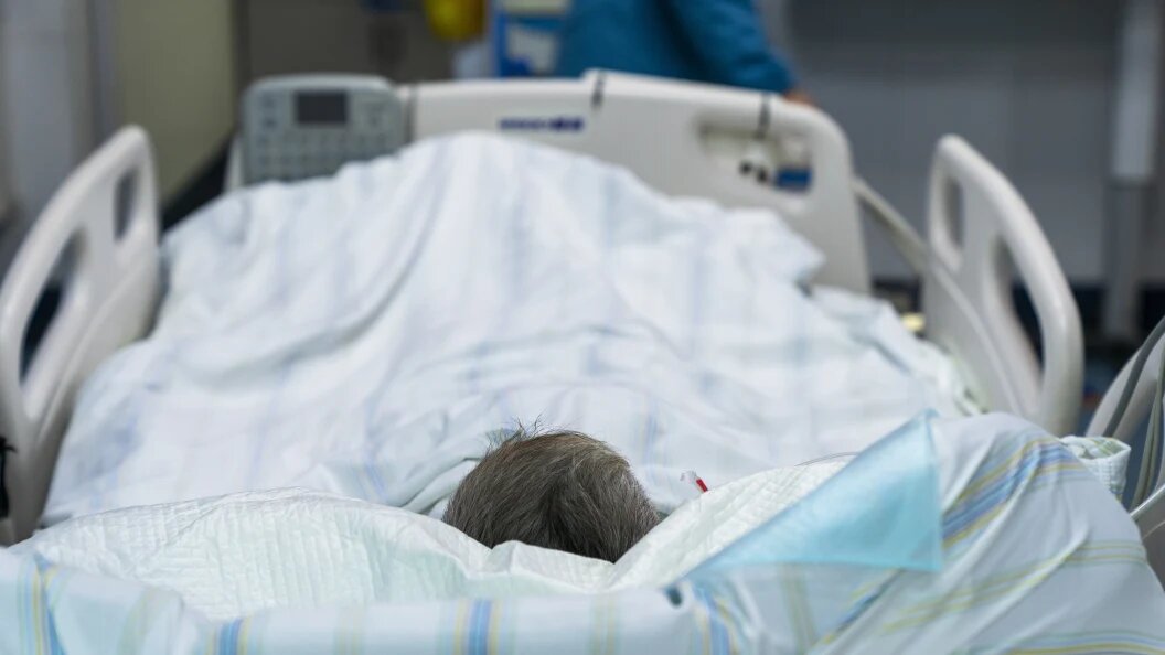    Фото: Cfoto /Globallookpress