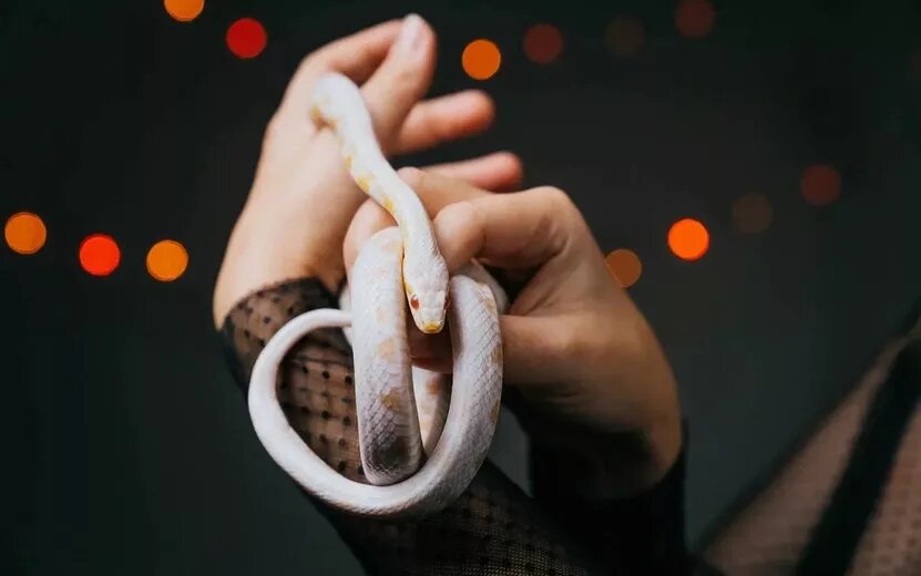    День иллюзий и соблазнов – кто 6 апреля столкнется с обманом и разочарованием?