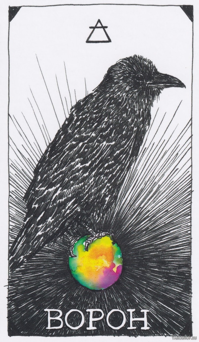 Фото из сети