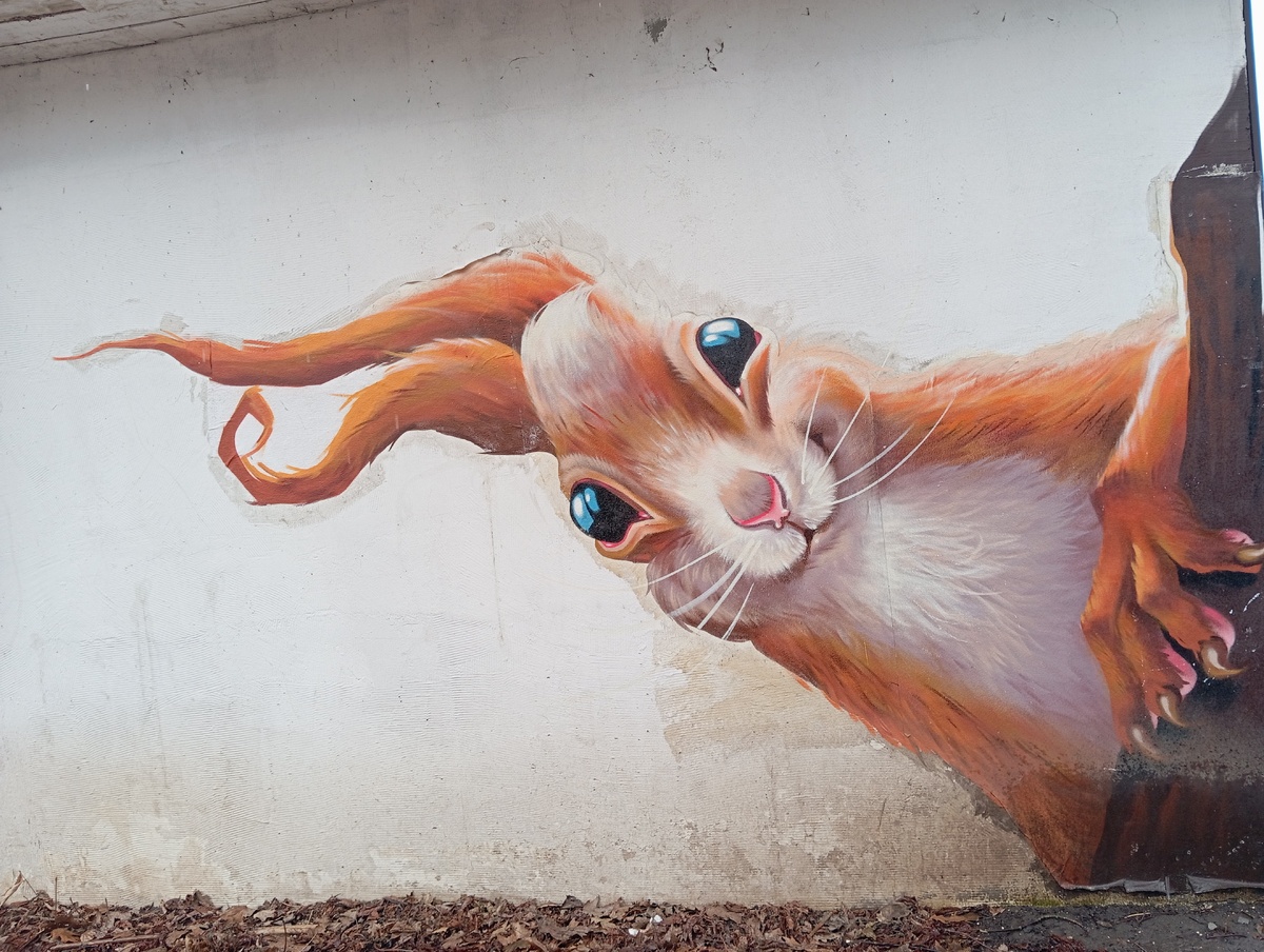 И глаза такие хитрые