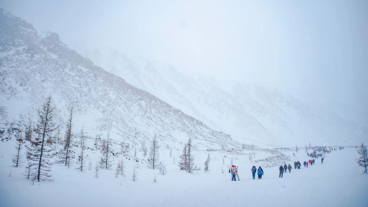    Фото: Сергей Зубков/«Ямал-Медиа»