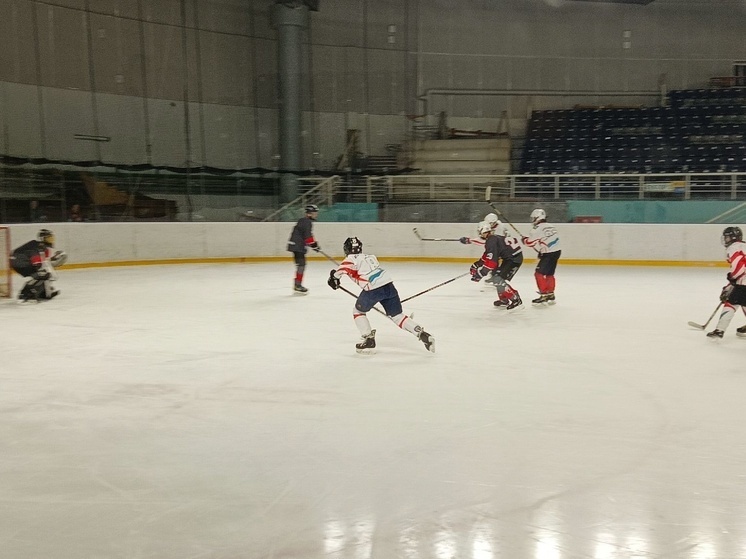     ХК «Ксшор-Арктика» сразится с ХК «Динамо Айсберг» 5 апреля. Фото: группа ХК «КСШОР-АРКТИКА» «ВКонтакте».