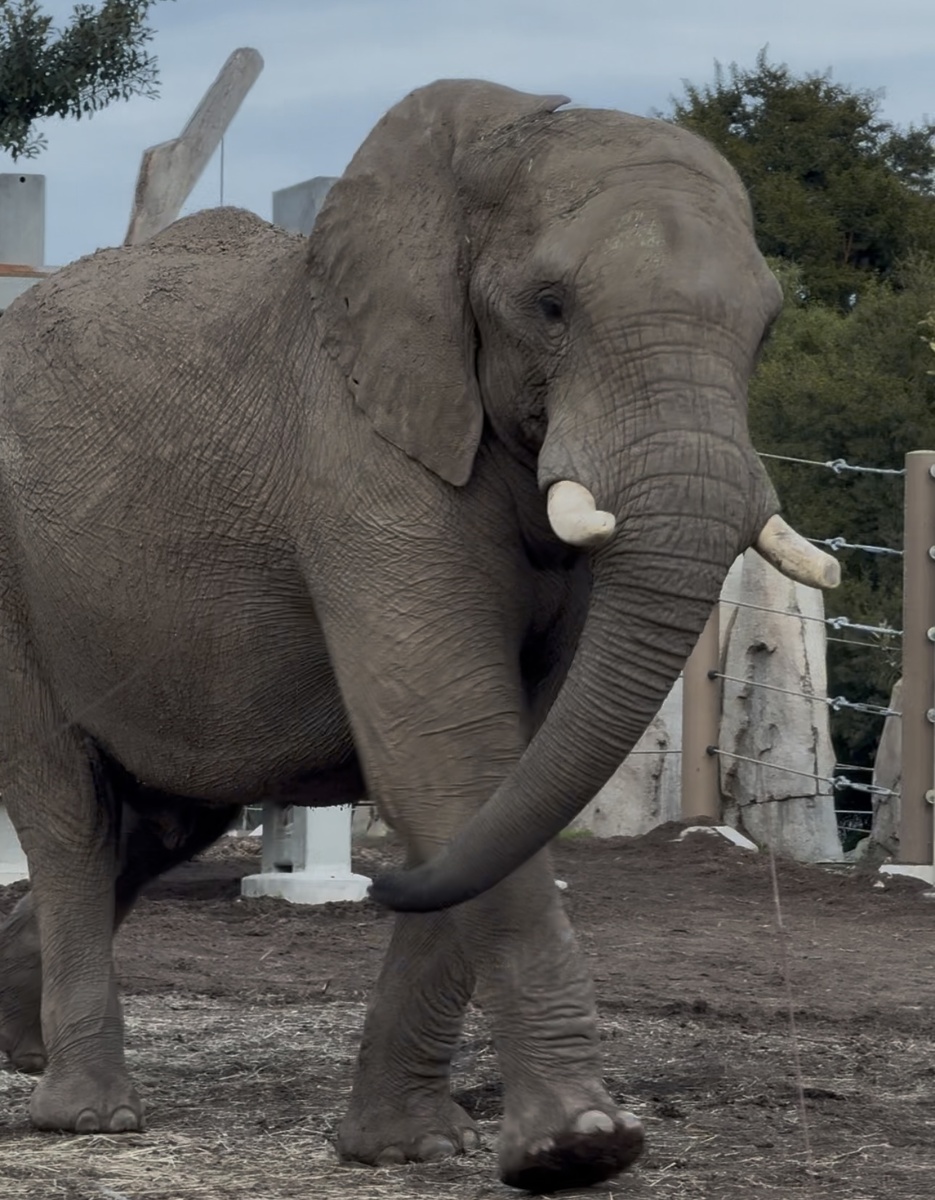 Фото и видео из личного архива автора.