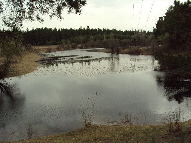 Такое короткое лето...