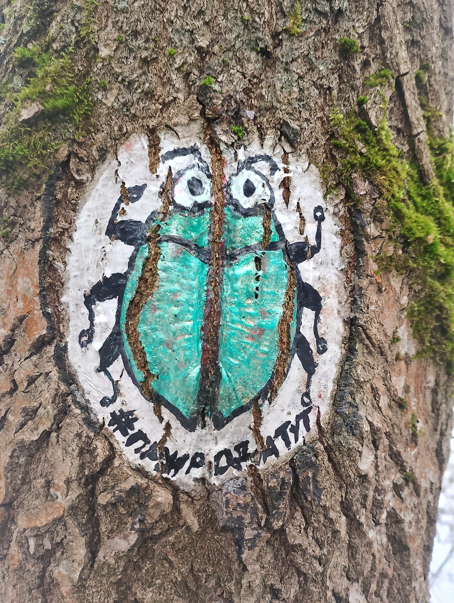 Из моего архива Измайловских картинок на деревьях.