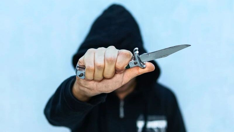    Фото: Melnikov Dmitriy/Shutterstock/Fotodom