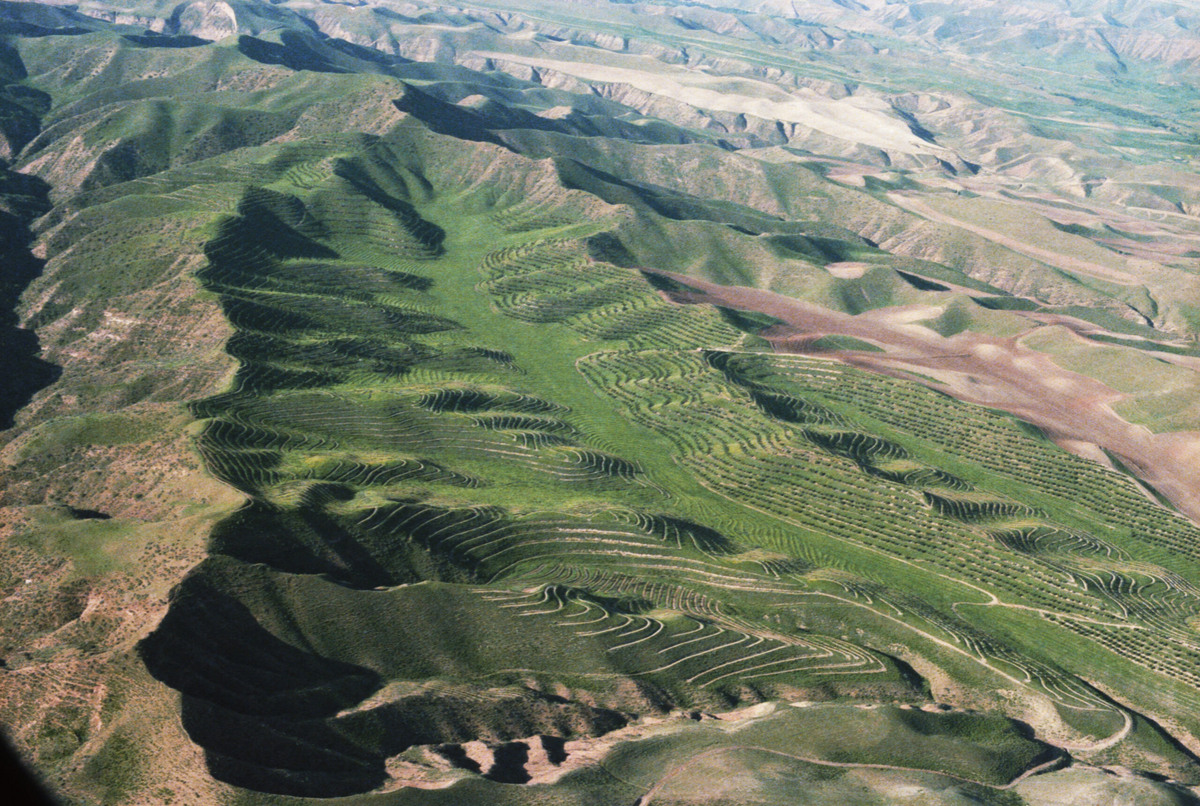 Фото: Величкин Сергей, Юсупов Борис Фотохроника ТАСС