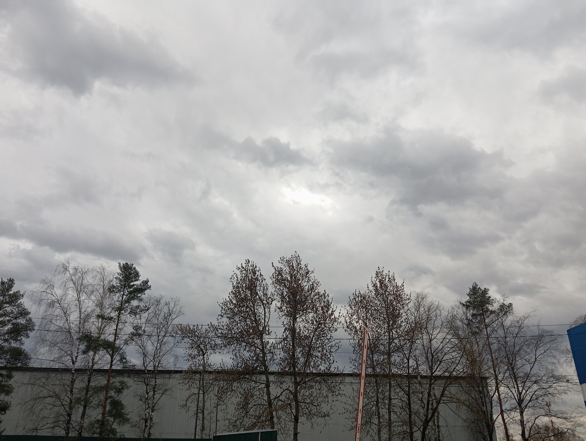 Личное фото автора канала 