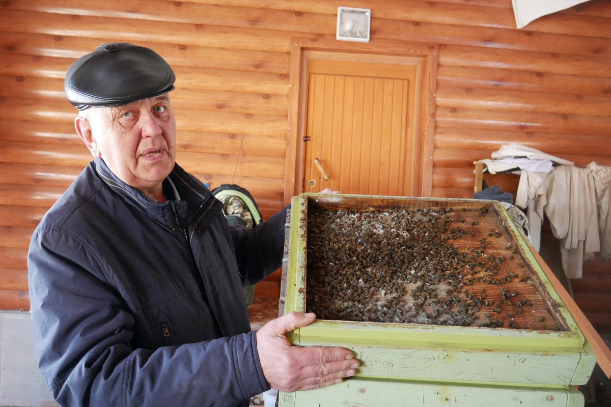    Фото: «Шалинский Вестник»