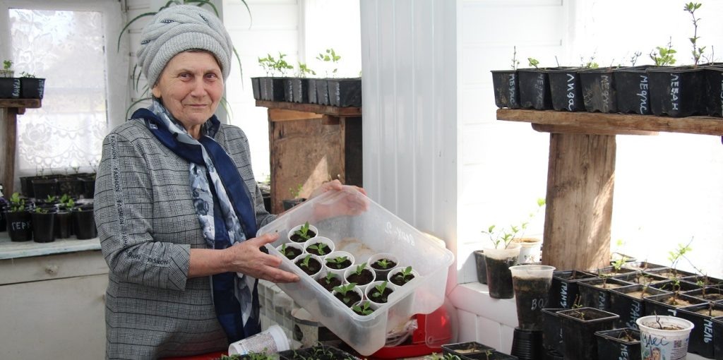    Фото автора Любовь Воротынцева