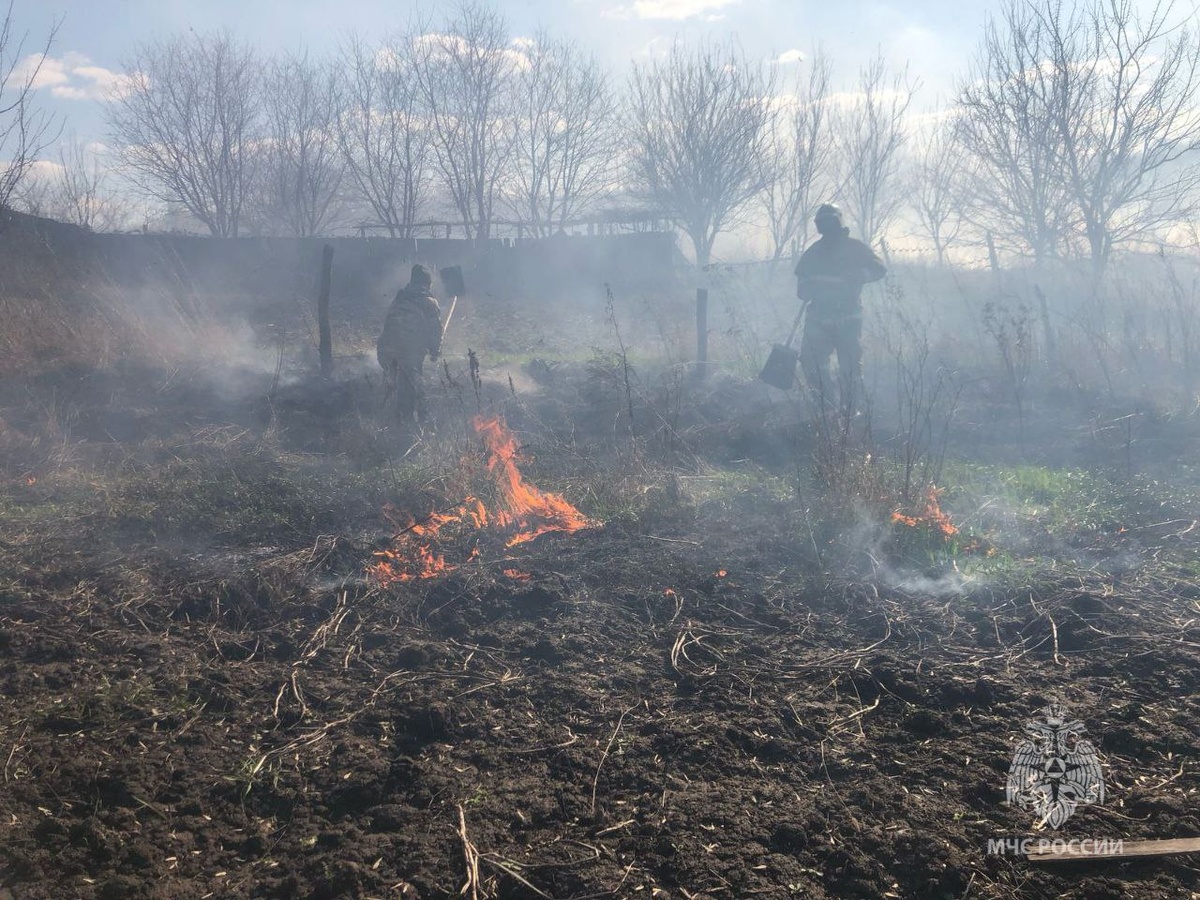    За сутки пожарные Курской области 47 раз выезжали на тушение сухой травы