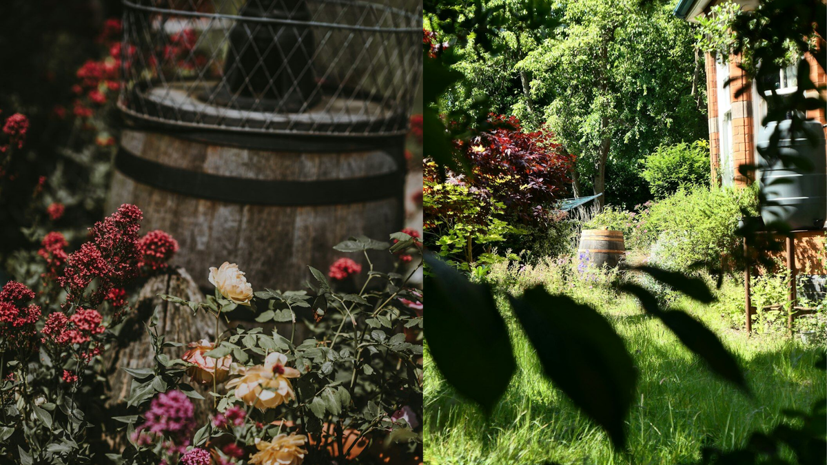 Бочка в огороде