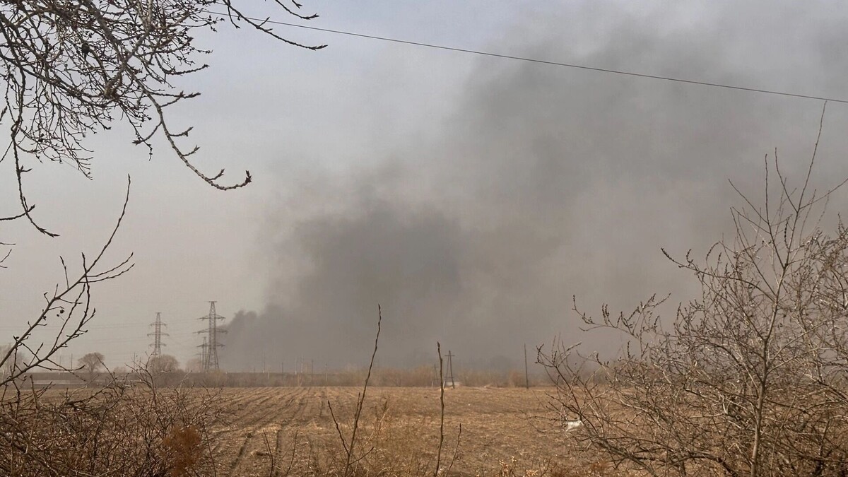     Источник: prmira.ru