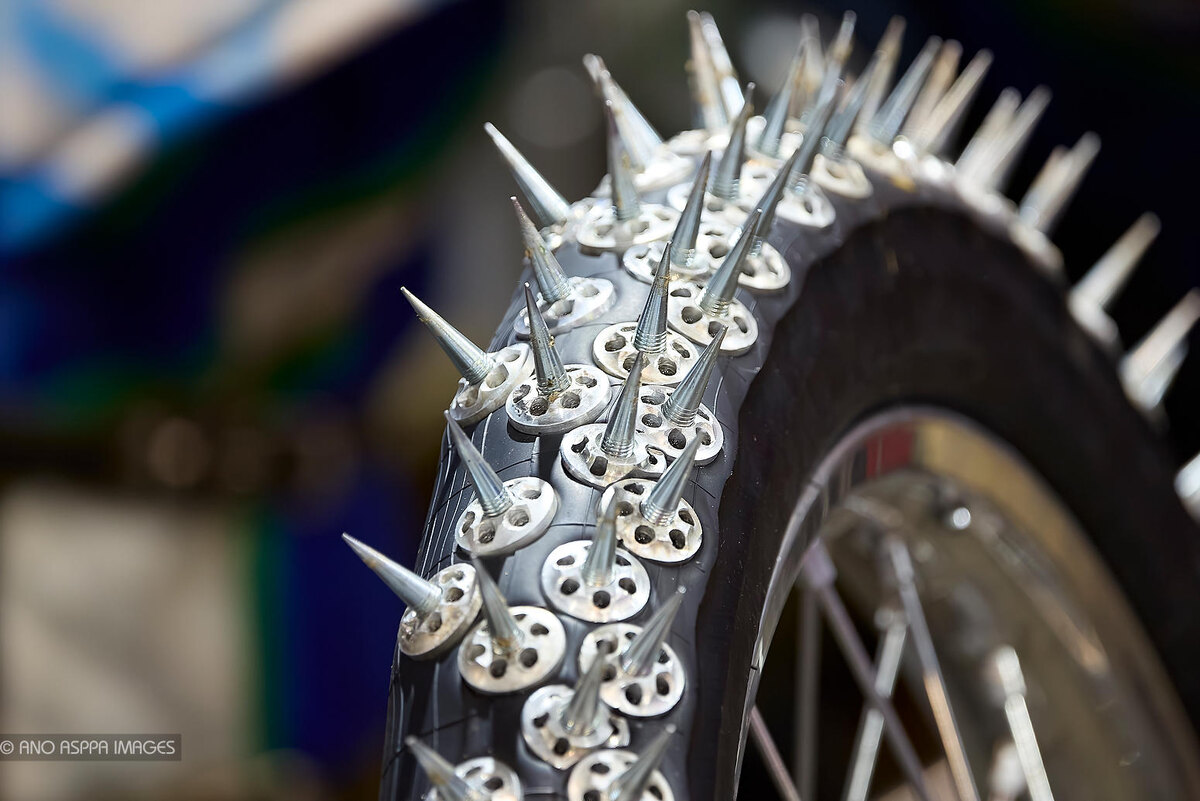 Фото: Александр Серёгин (Россия), АСППА ИМАДЖЕС, 2025