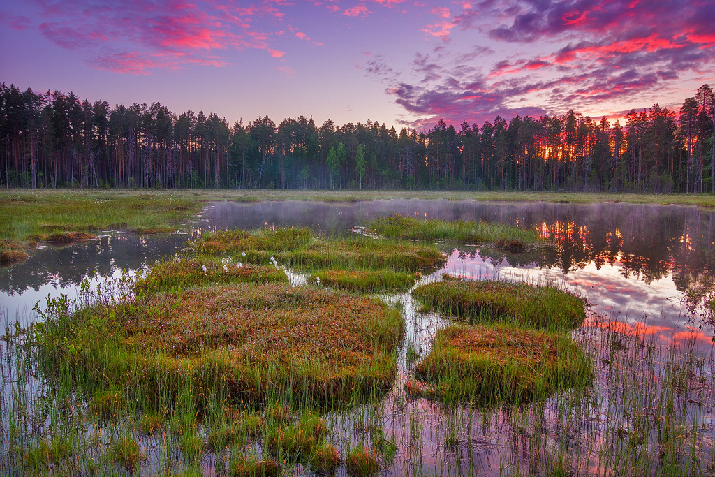 Яндекс.Картинки