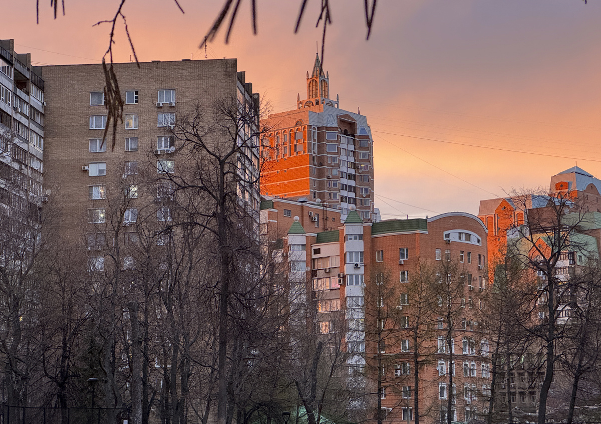 Фото © «Московская газета»