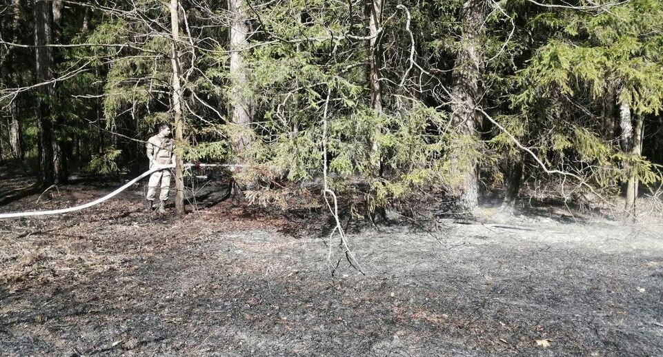    Комитет лесного хозяйства Московской области