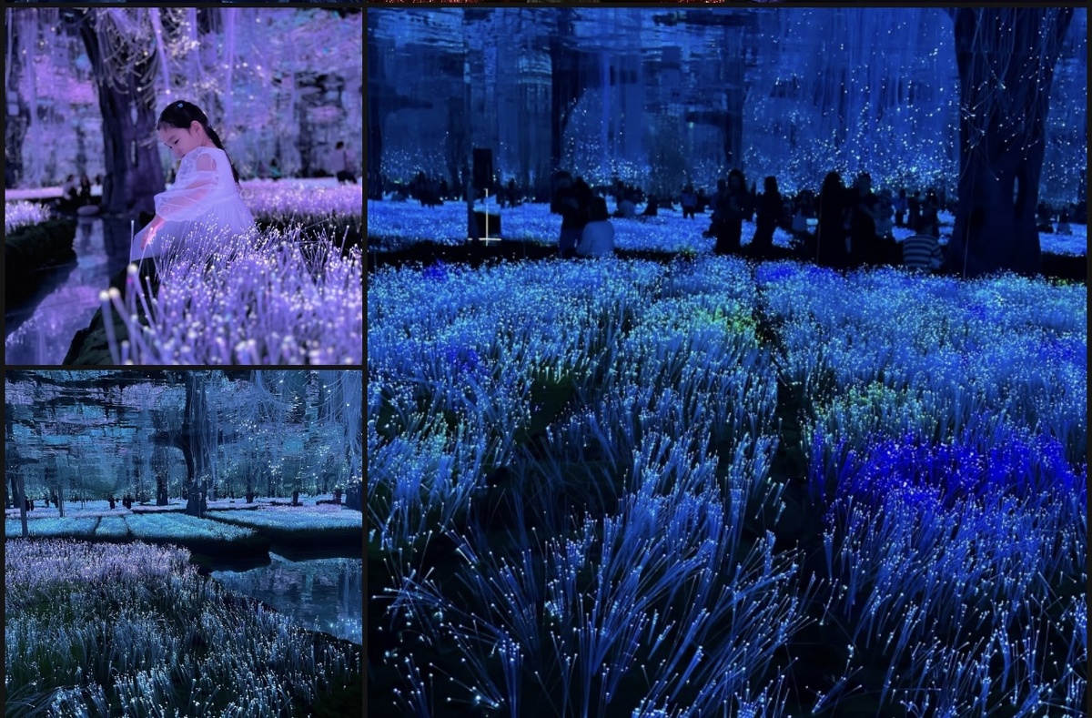 Для меня пройти курс было настоящим подвигом, поскольку спала я в течение месяца часа по 3 максимум, работая в течение дня в обычном режиме, прерываясь на детские ночные пробуждения. Но после каждой успешной задачи привыкла себя вознаграждать, и в этот раз сходим в Футурион, о чем я давно думала. А может, еще куда-нибудь.