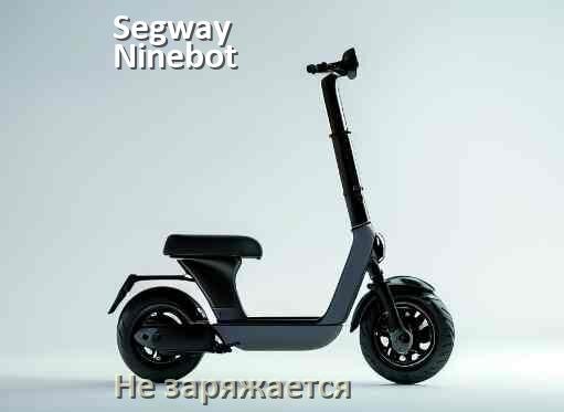 
Почему электросамокат Segway Ninebot не заряжается