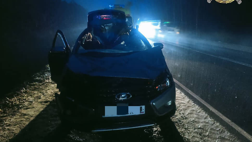 В Чувашии женщина пострадала в результате наезда на лося на трассе М-7 «Волга».📷Фото: Госавтоинспекция Чувашской Республики