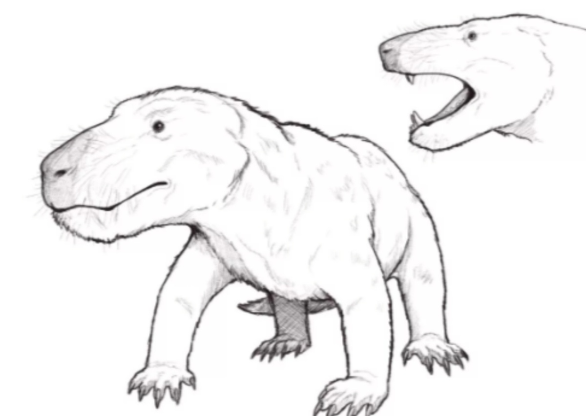 Кромптодон.