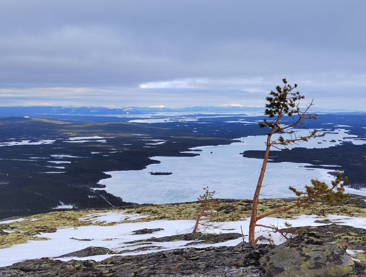 Вид на Кандалакшский залив с вершины Гремяхи