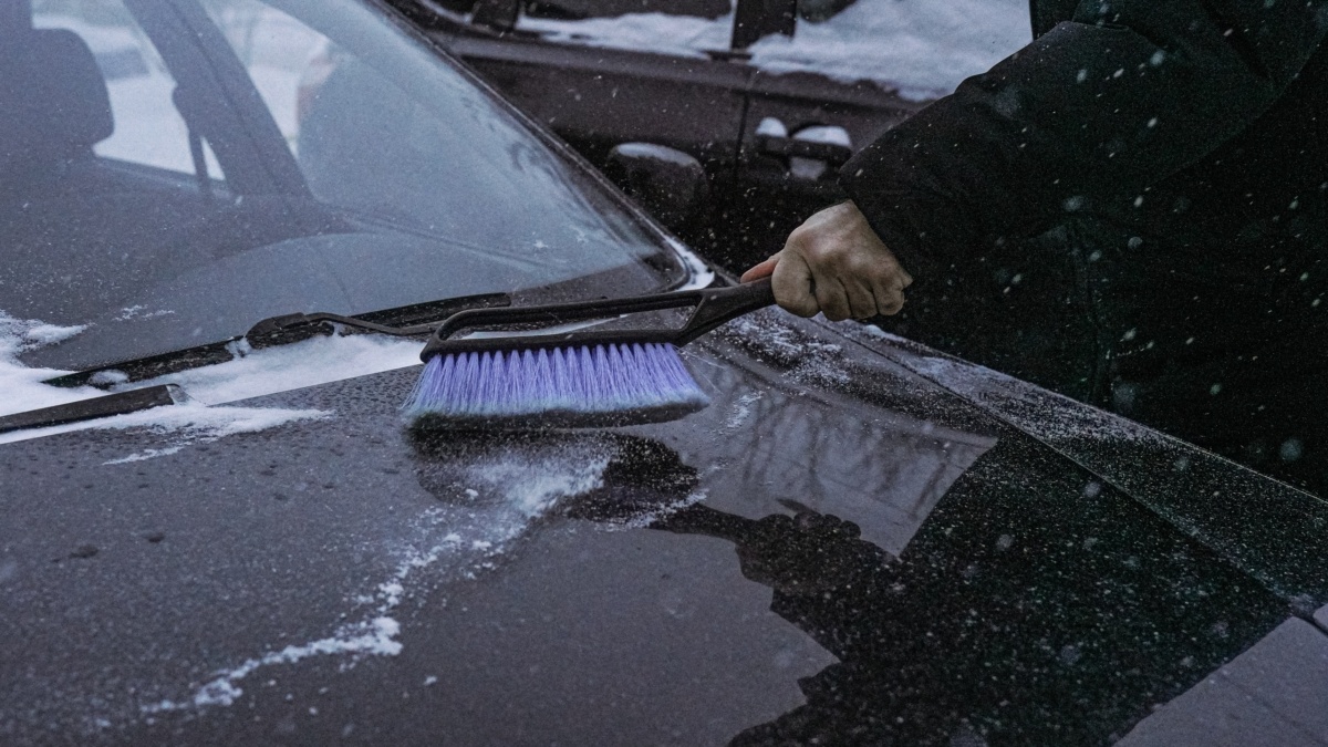 Светлана Мулыкина📷
