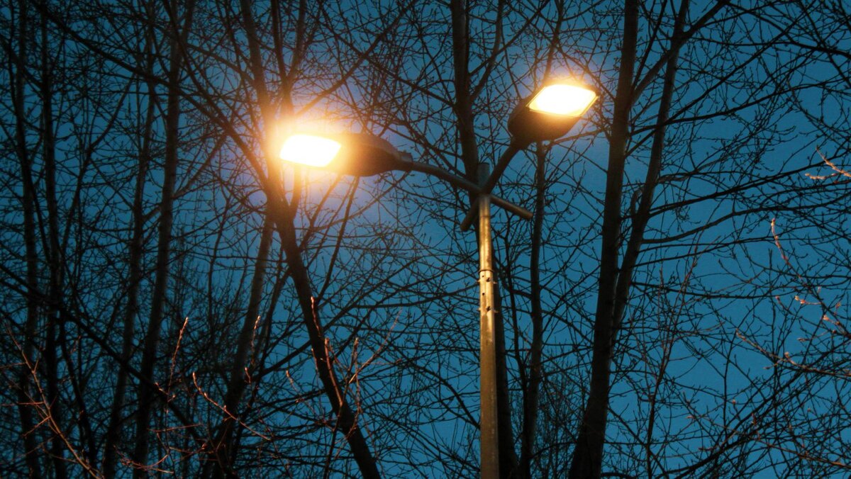    Фото: пресс-служба администрации Петербурга