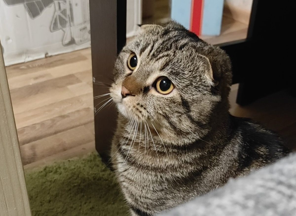 Так вот откуда тут ноги растут