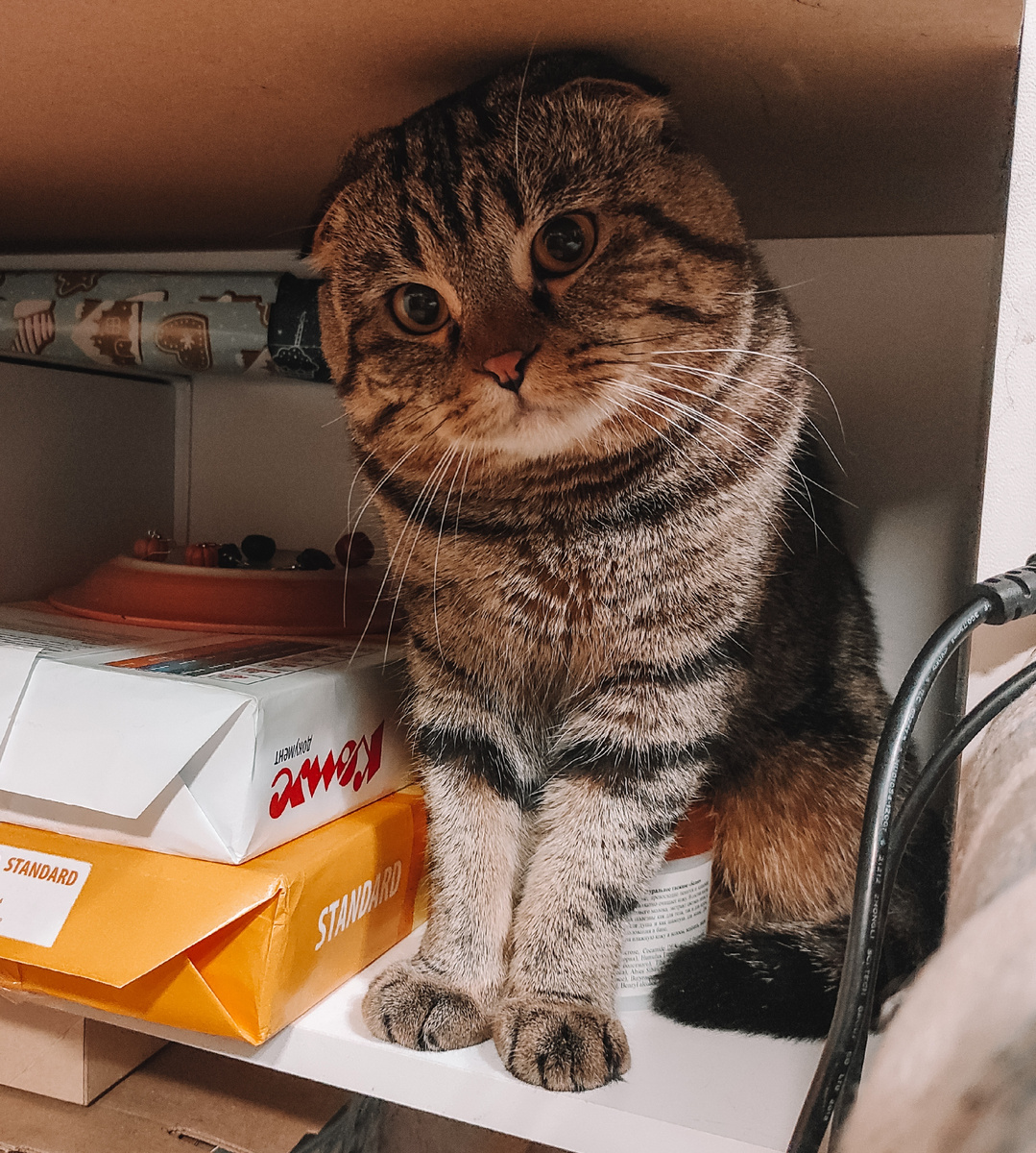 Вообще не любопытно. А что там?