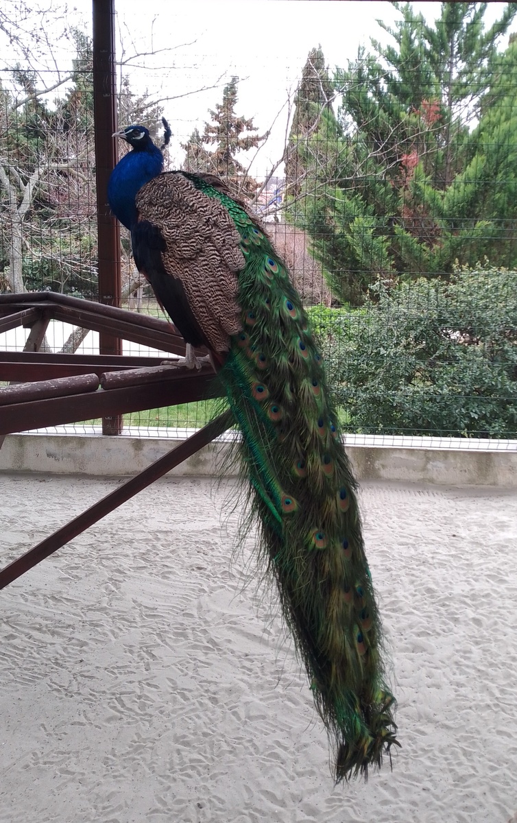 Дворик отеля.